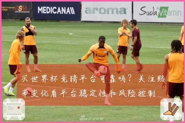 买世界杯竞猜平台可靠吗？关注赔率变化看平台稳定性和风险控制