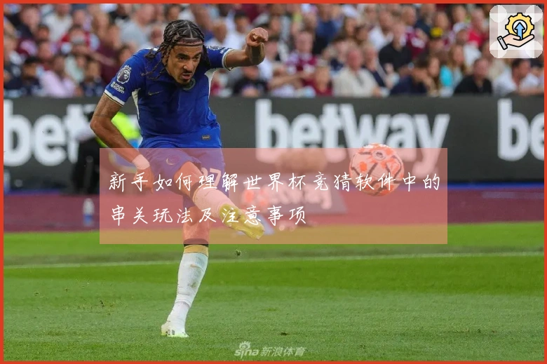 新手如何理解世界杯竞猜软件中的串关玩法及注意事项