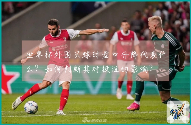 世界杯外围买球时盘口升降代表什么？如何判断其对投注的影响？